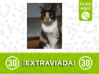 La familia de 'Estrella' la está buscando ¡Comparte! 1 Estrella