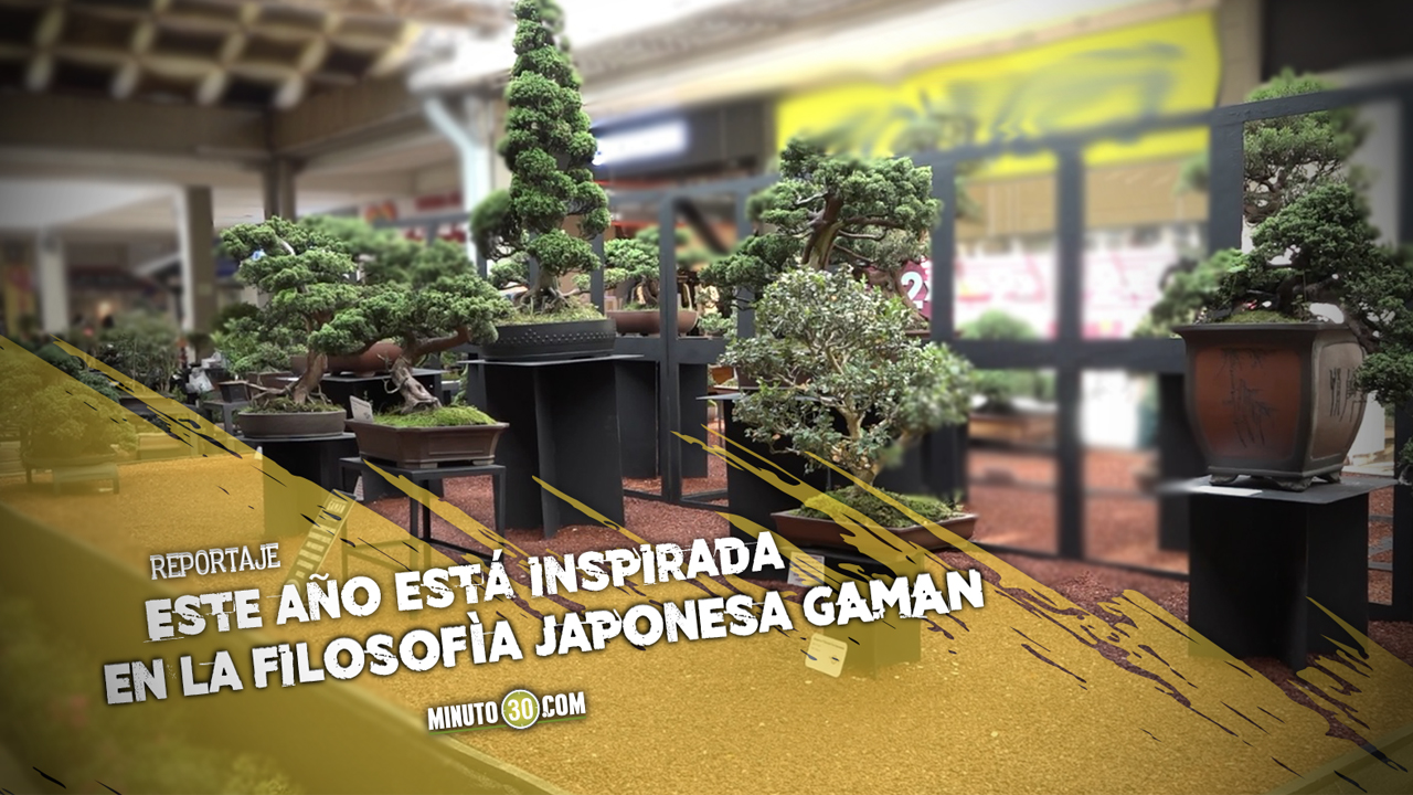 Exposición Bonsái en Medellín