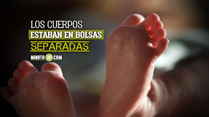 Hombre-encontro-tres-cadaveres-de-bebe-en-su-casa-tras-la-muerte-de-su-esposa bebés