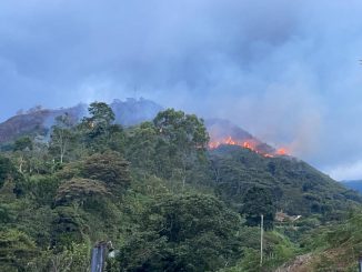 Hay un incendio forestal en Barbosa, aseguran que los bomberos no han podido ingresar al lugar 1 Hay un incendio forestal en Barbosa, aseguran que los bomberos no han podido ingresar al lugar