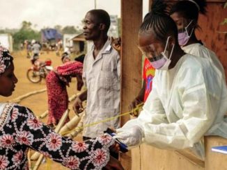 Marburgo: Nuevo virus que tiene en alerta a la comunidad científica 1 Marburgo