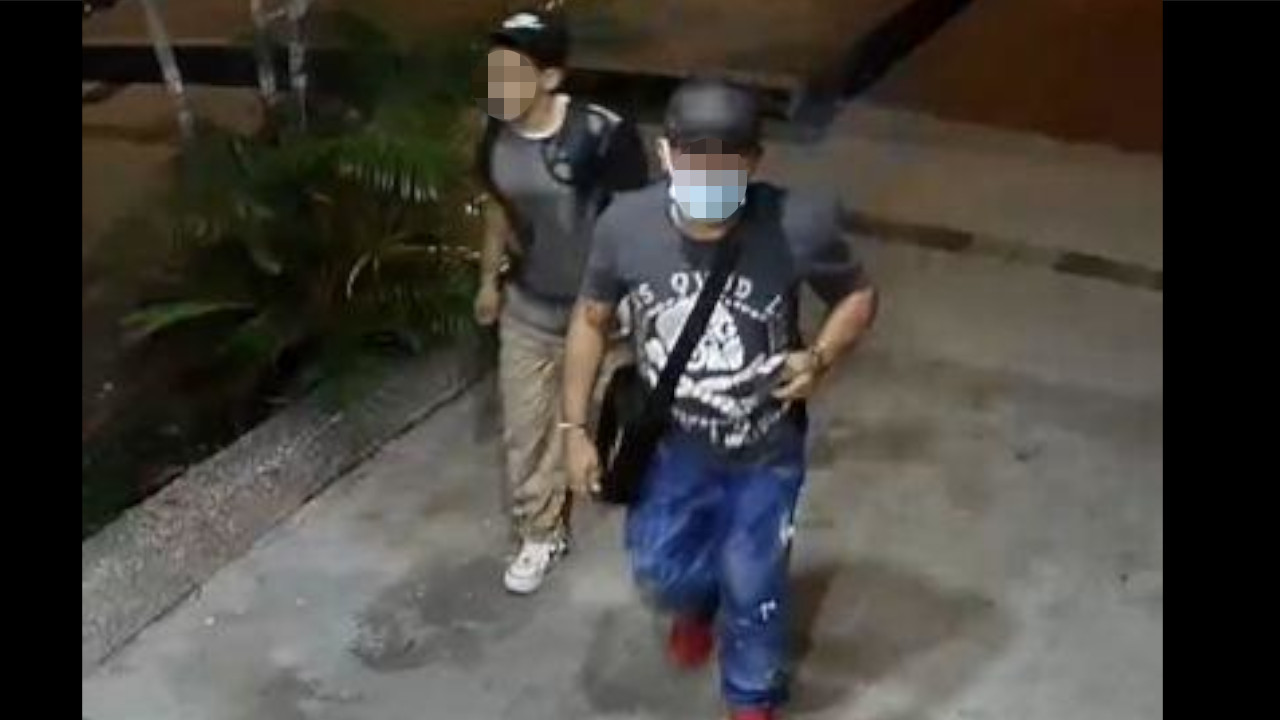 [Video] Denuncian que estas 'ratas' han desocupado varios apartamentos y oficinas en Laureles