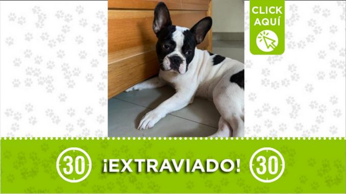 Roky