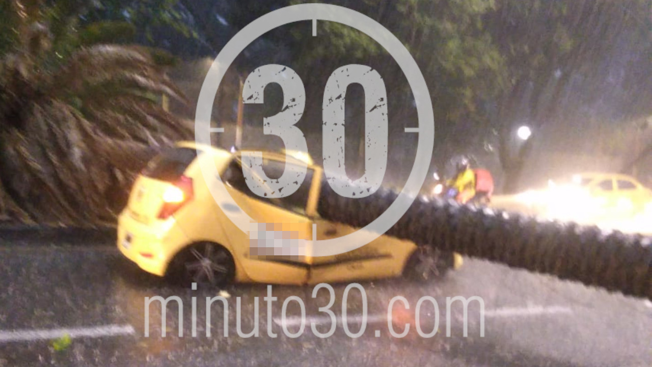 ¡Qué miedo! Un árbol cayó sobre un taxi en la Avenida Barranqui