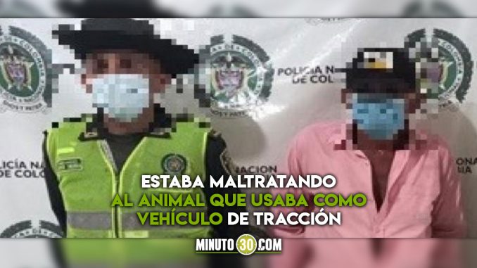 Tienen-que-aprender-a-respetar-a-los-animales-Lo-capturaron-por-maltratar-a-su-caballo maltrato animal