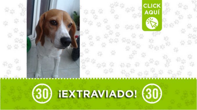 ¡Comparte! ¡Comparte!