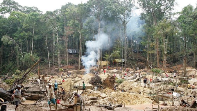 amazonia brasil amazonia brasil
