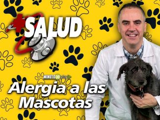 VIDEO. +Salud: Alergia a las mascotas ¡No solo es al pelo! 1 capitulo 4 ALERGIA A LAS MASCOTAS nota