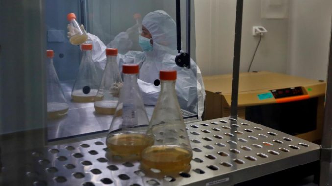 Los resultados preliminares de la investigación fueron publicados el 12 de agosto en la edición digital de la revista científica internacional Molecules y permiten pensar en la posibilidad de desarrollar medicinas para tratar la covid, según Eduardo Maffud, profesor del Instituto de Química de la Unesp y coordinador del estudio. EFE/Ernesto Mastrascusa/Archivo veneno de serpiente
