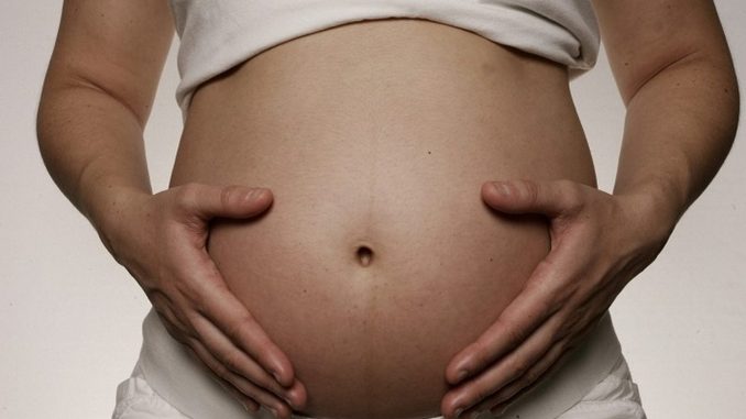 embarazada ley paternidad