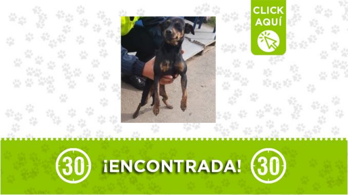 Las Palmas-encontrada Las Palmas-encontrada