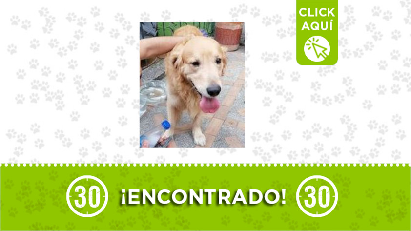 Francisco Antonio Zea-encontrado