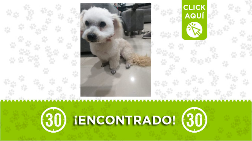 Doce de octubre-encontrado