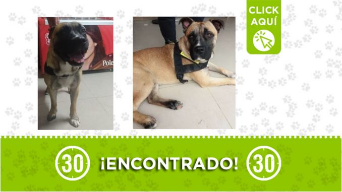 Blanquizal-encontrado Blanquizal-encontrado
