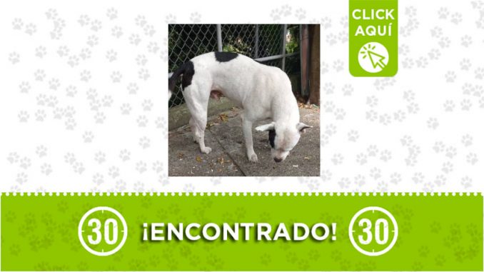 Variante de Caldas-encontrado Variante de Caldas-encontrado