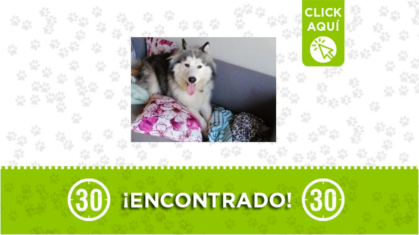 El Picacho-encontrado