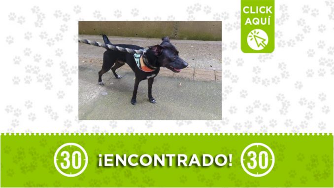 Rodeo Alto -encontrado Rodeo Alto -encontrado