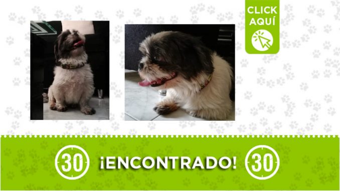Santa Cruz-encontrado Santa Cruz-encontrado