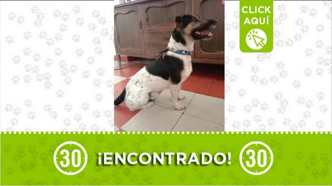 encontrado parque boston medellin