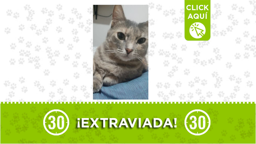 La Milagrosa-extraviada