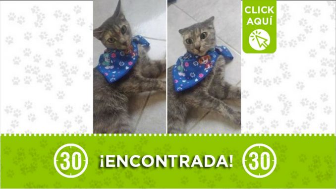 gatica encontrada bello 2021