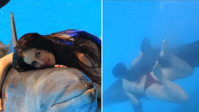 jessica cediel delfin