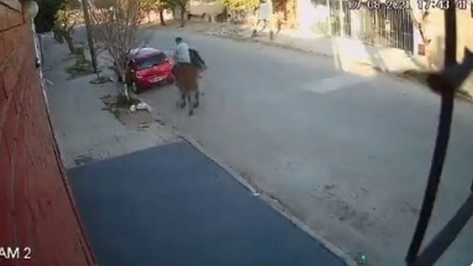 ladron a caballo argentina
