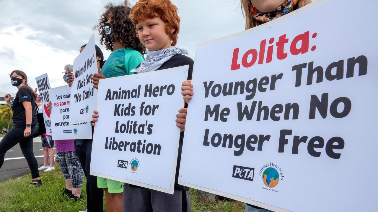 lolita free