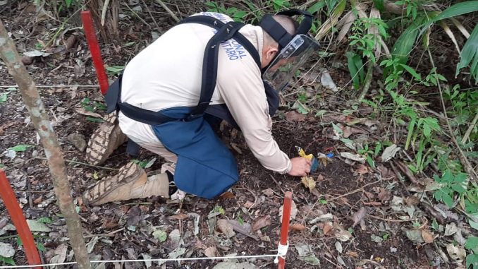Entregan cuatro áreas libres de minas antipersonal Entregan cuatro áreas libres de minas antipersonal