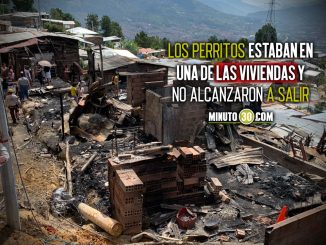 ¡Muy triste! Tres perritos murieron en el incendio del barrio Nueva Jerusalén en Bello 1 Tres perritos murieron en el incendio del barrio Nueva Jerusalén en Bello