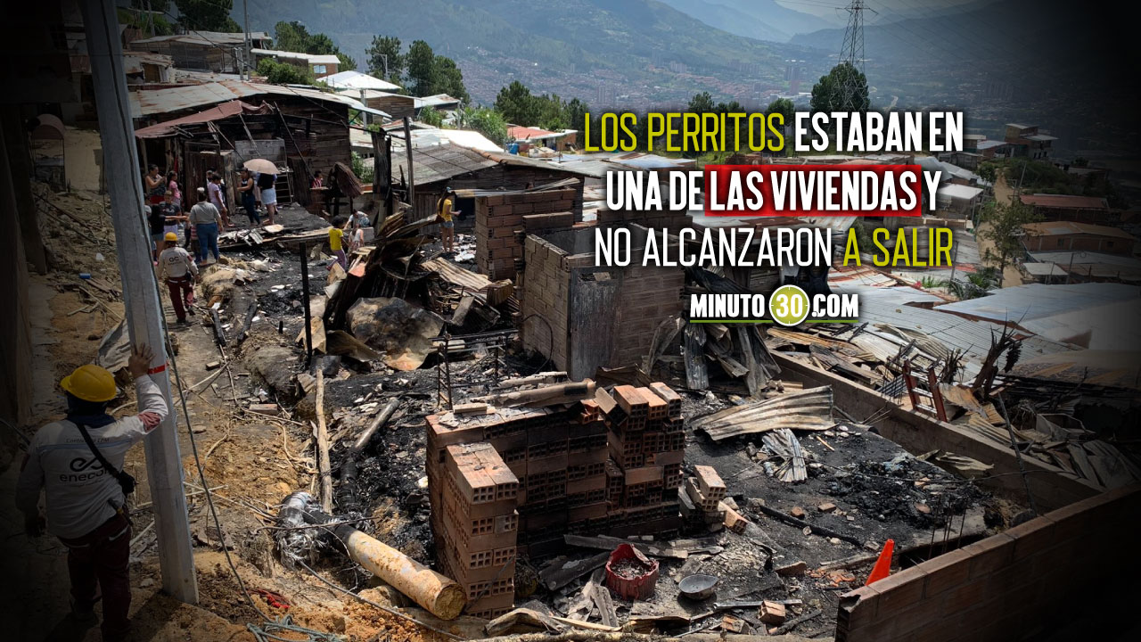 Tres perritos murieron en el incendio del barrio Nueva Jerusalén en Bello