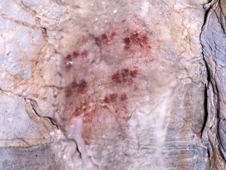Científicos constatan el origen humano de las pinturas rupestres más antiguas del mundo 1 Pintura Rupestre