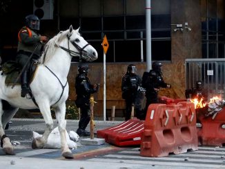 ¿Está de acuerdo? Radican proyecto para prohibir que la Policía use animales durante las protestas 1 proyecto