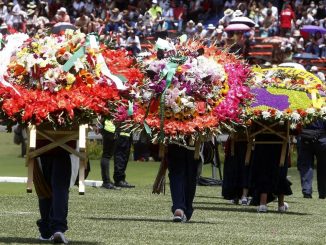 FOTOS: Los silleteros se reencuentran con Medellín en un desfile que recuperó el alma 1 silletero medellin