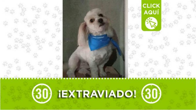 Tonny perdido Tonny perdido