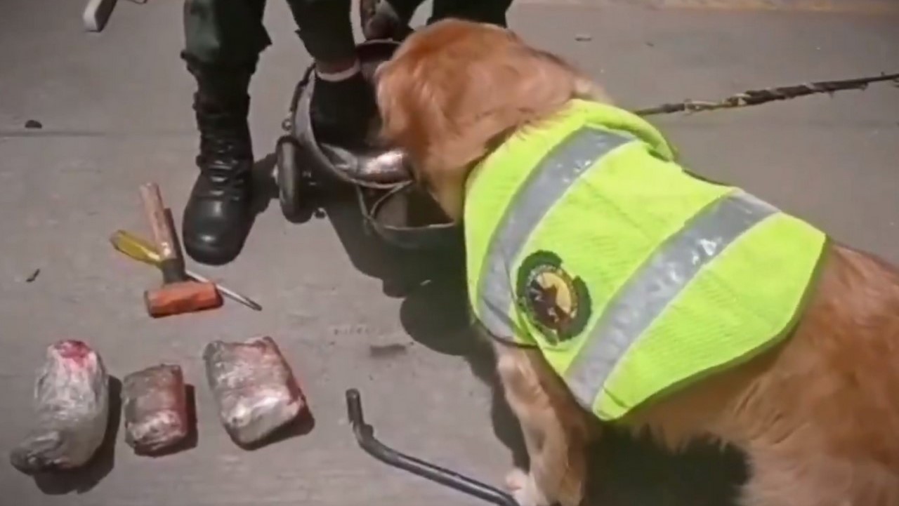 Hallan 18 paquetes de marihuana camuflados en un compresor