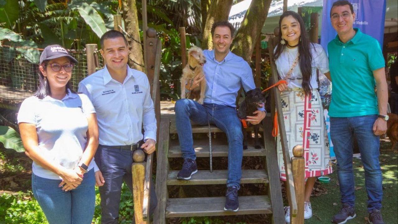 ¡Tan bueno! En Medellín crearon una plataforma digital para caracterizar a las mascotas