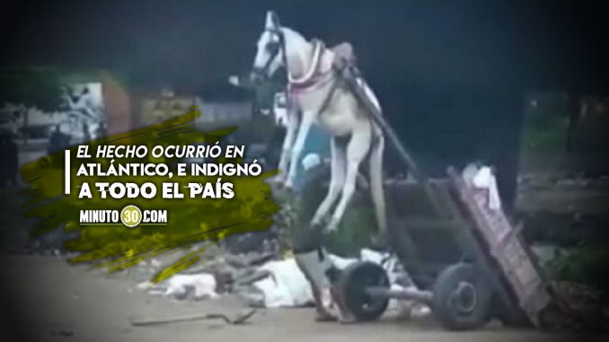 Burrito-quedo-volando-porque-lo-pusieron-a-cargar-una-carreta-pesadisima burro