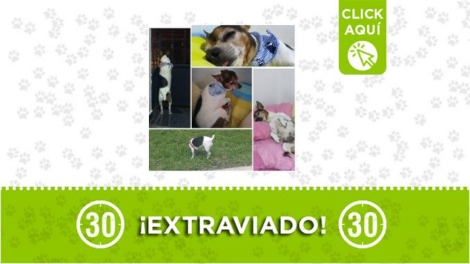 Chiquitín Chiquitín