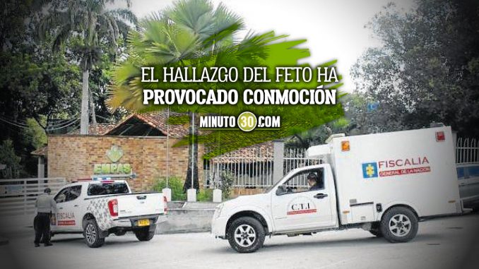 Encontraron-otro-feto-esta-vez-en-una-planta-de-tratamiento-residual feto