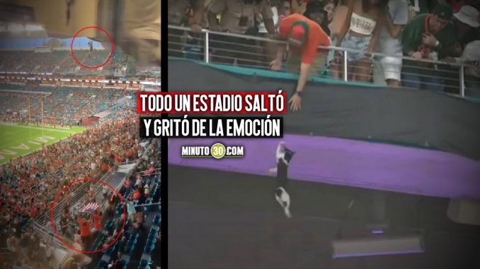 Eriza-la-piel-El-emocionante-momento-en-el-que-salvaron-a-un-gatito-de-una-caIda-mortal viral