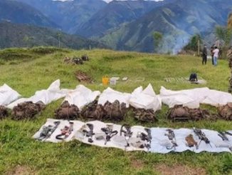 Miembros del Clan del Golfo fueron abatidos por el Ejército en Ituango, Antioquia 1 Ituango