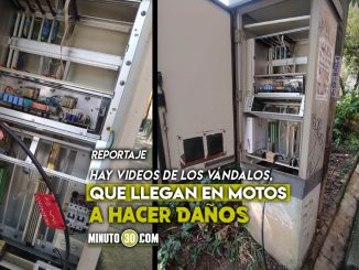 Video: ¡Lo hacen con gusto! Semáforos de Medellín están siendo dañados, para generar trancones 1 semáforos