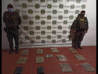 Dejaron 6 kilos de marihuana abandonados en El Poblado 1 Dejaron 6 kilos de marihuana abandonados en El Poblado