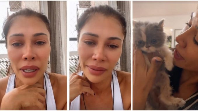 Martha Isabel Bolaños gata enferma 2021