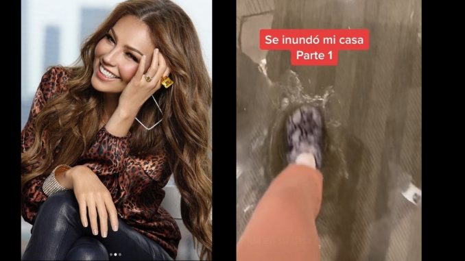 Viral: Thalía reveló los estragos que dejó el huracán Ida en su casa Viral: Thalía reveló los estragos que dejó el huracán Ida en su casa