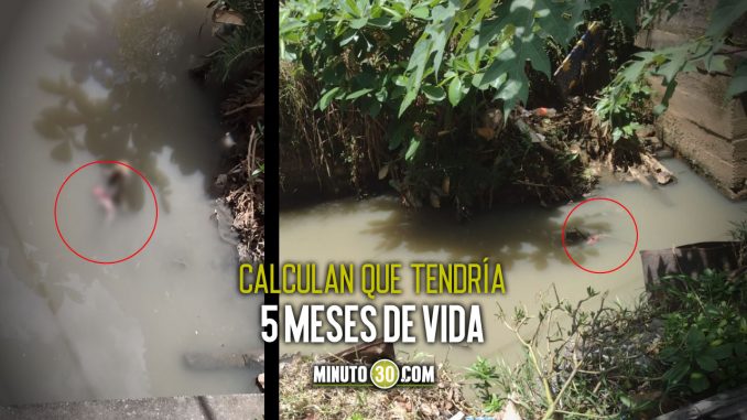 Ya-estaba-formadito-Hallaron-feto-en-un-cano-en-Caucasia-Antioquia ¡Ya estaba formadito! Hallaron feto en un caño en Caucasia, Antioquia