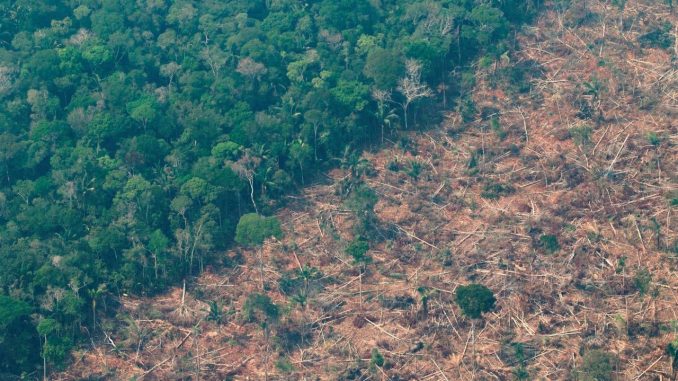 Vista de la Amazonía brasileña de Rondonia, en una fotografía de archivo. EFE/Joédson Alves La Amazonía