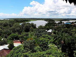 La Amazonía colombiana vive una crisis ambiental creciente desde la firma de la paz 1 Amazonía colombiana