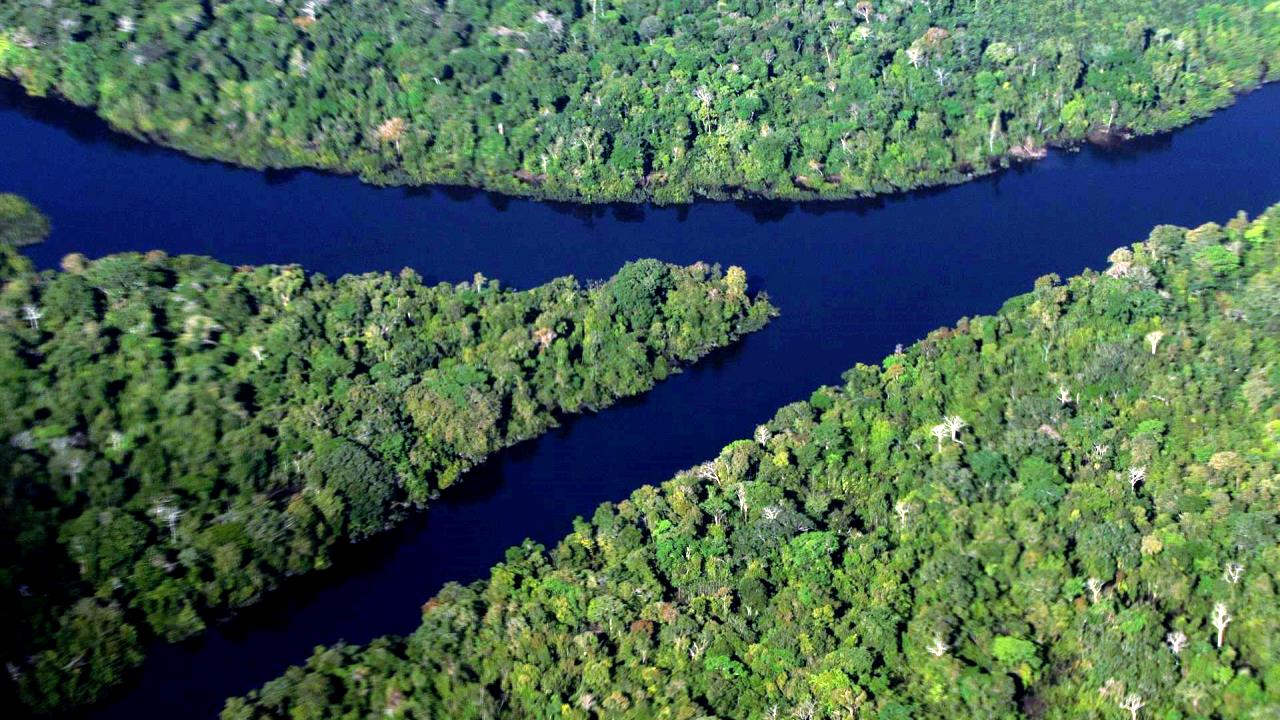 amazonia brasil